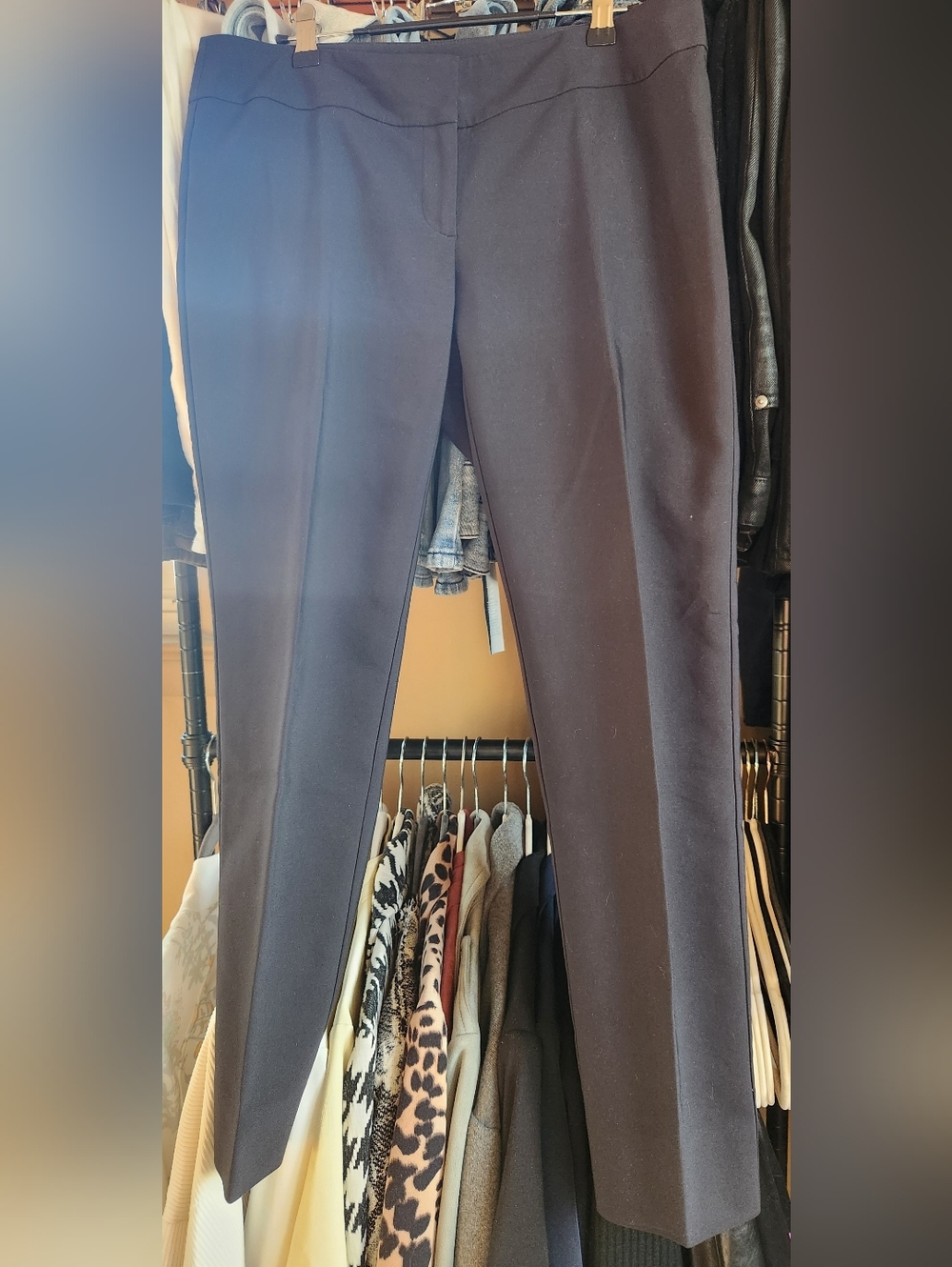 Ann Taylor Men's Dark Brown Dress Pants